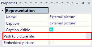 Path to picture file