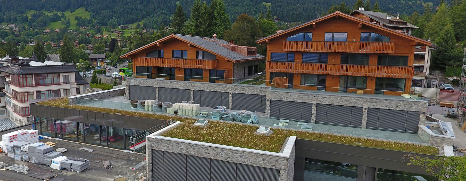 Collège Alpin International Collège Alpin International