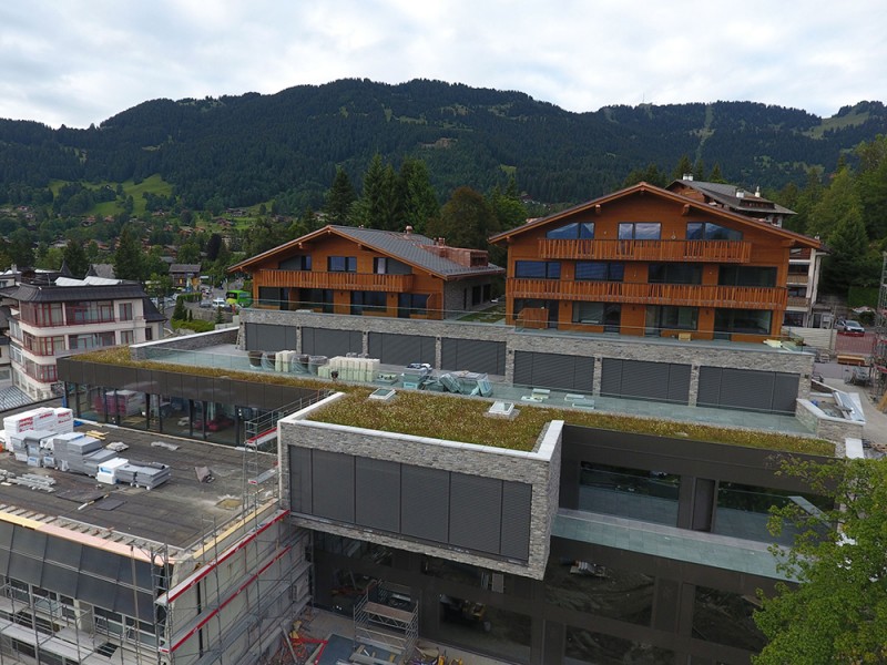 Collège Alpin International Beau Soleil on the Swiss Alps